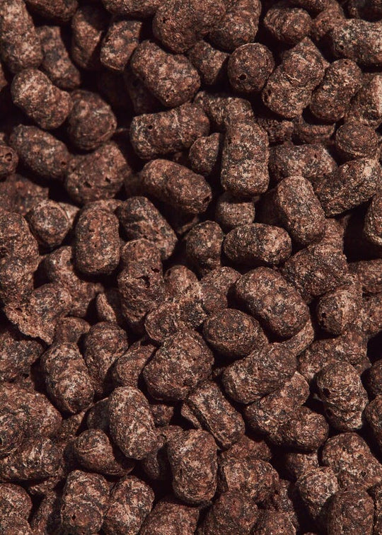 Koro Soja Protein Crispies 77% mit Kakao 1kg